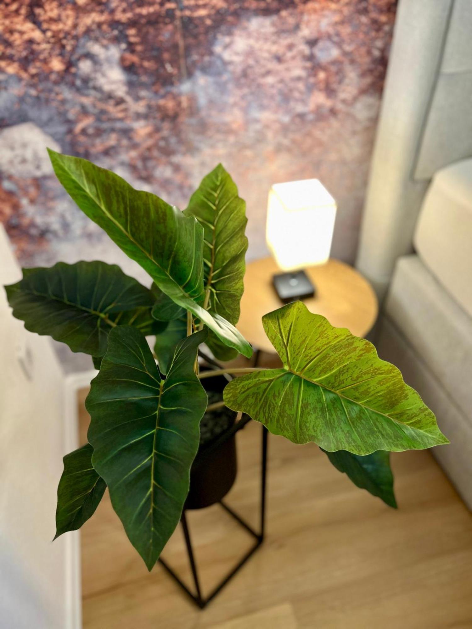 Main Cozy Casa Am Ringpark Free Parking Apartment Wurzburg Ngoại thất bức ảnh